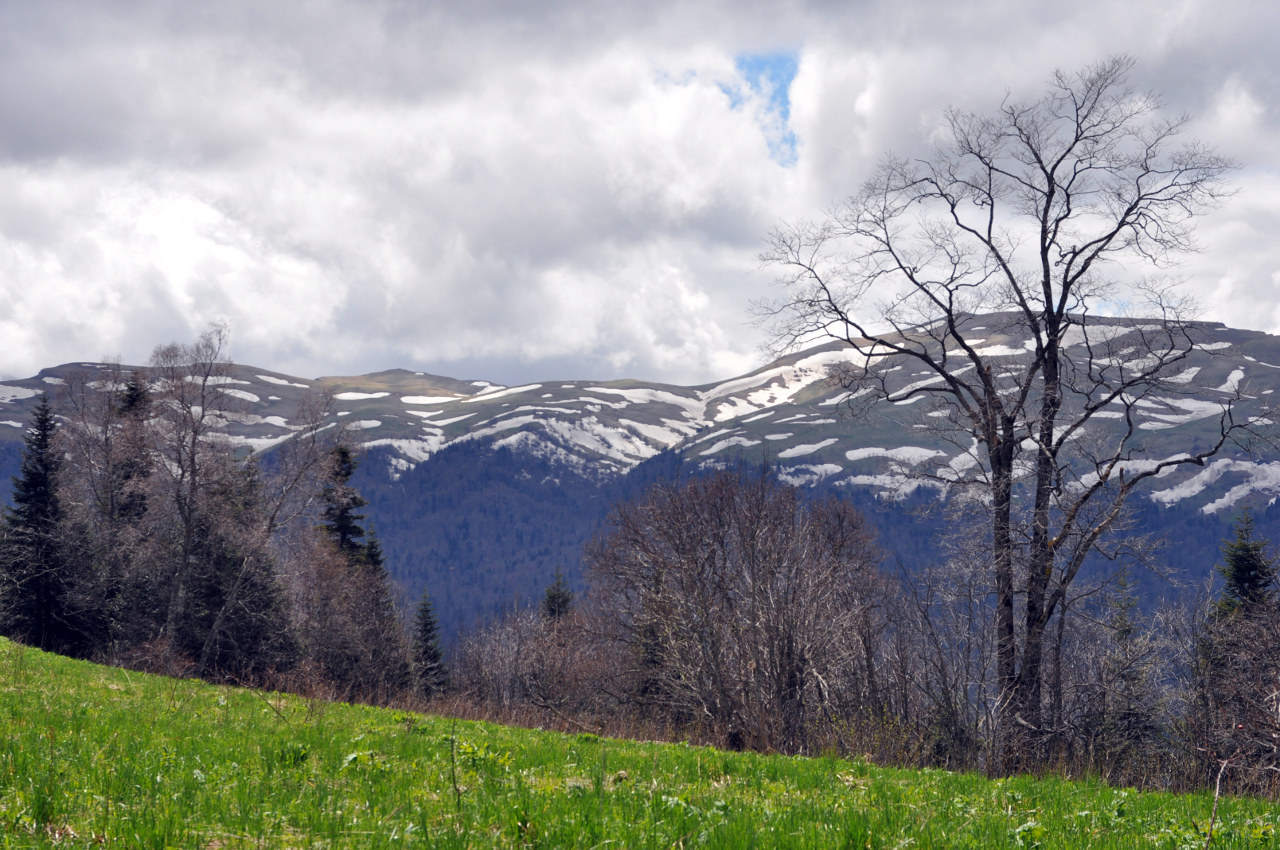 Гора Зауда, image of landscape/habitat.