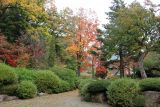 Korea National Arboretum (KNA), изображение ландшафта.