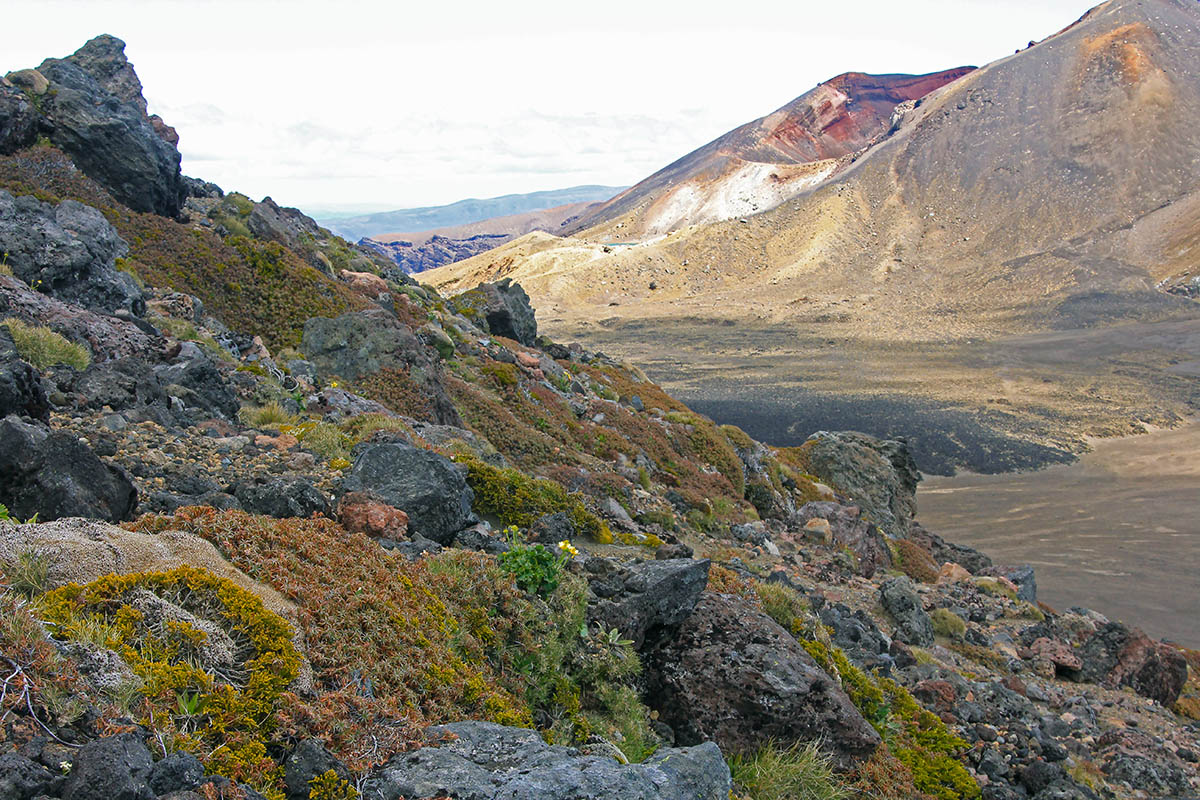 Тонгариро, image of landscape/habitat.