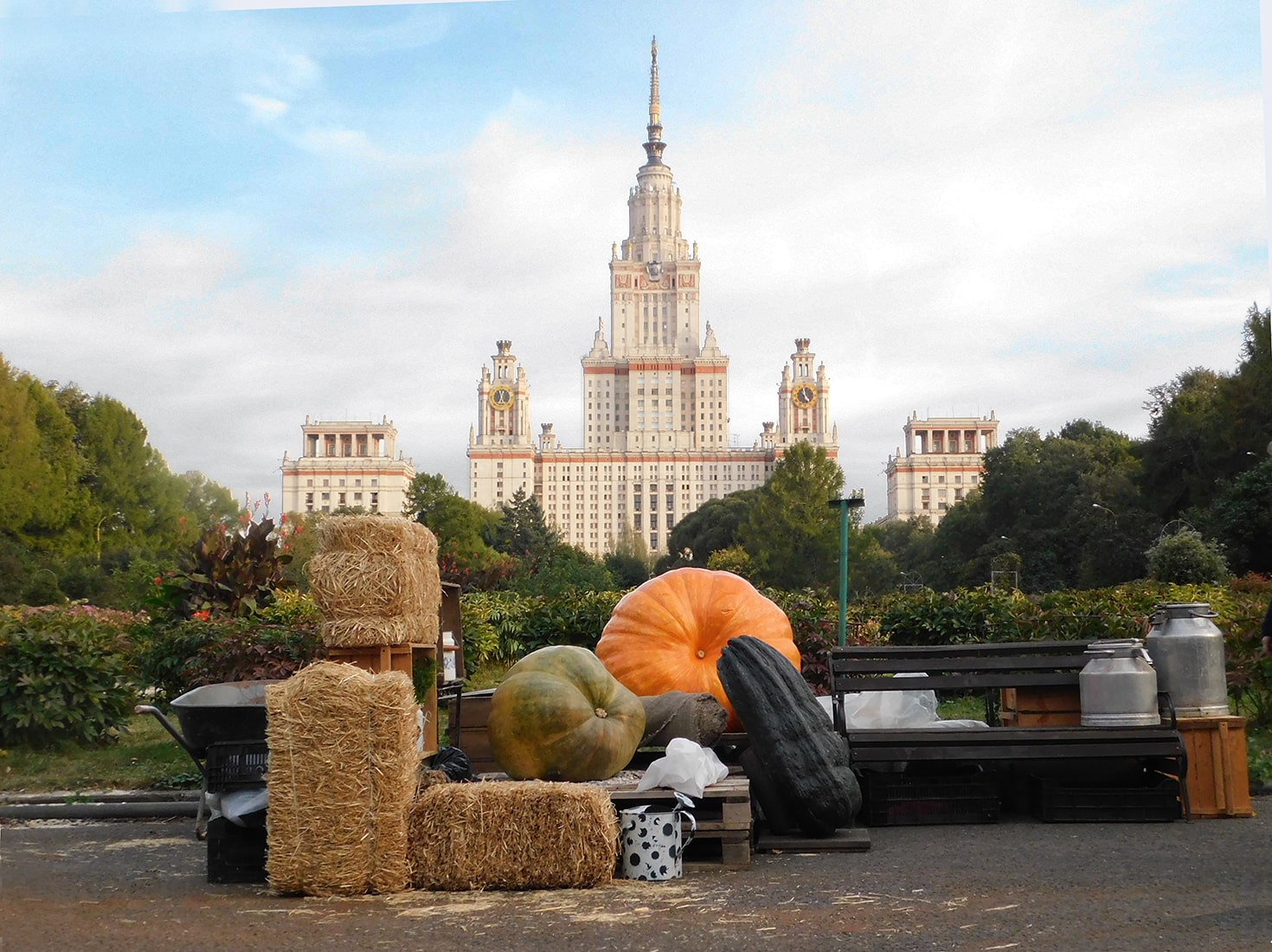 Ботанический Сад МГУ, изображение ландшафта.