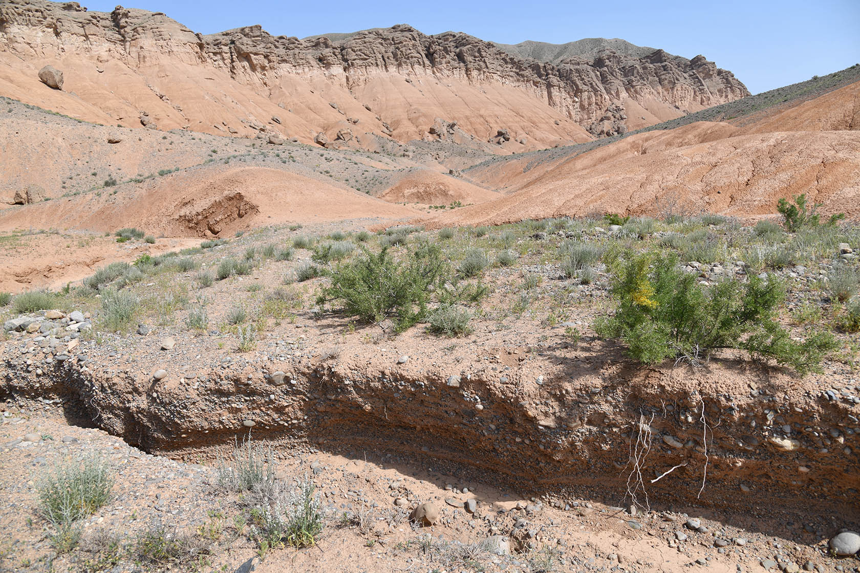 Исфара, image of landscape/habitat.