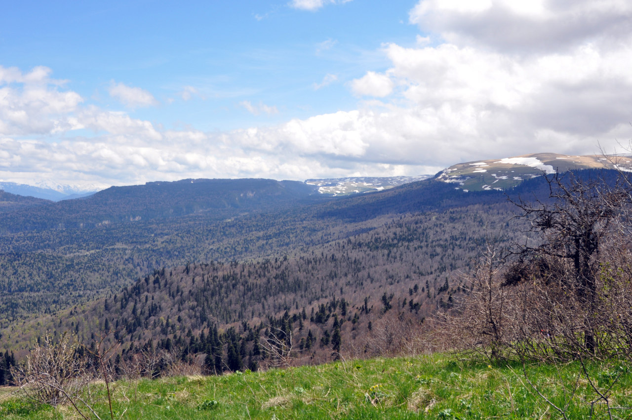 Гора Зауда, image of landscape/habitat.