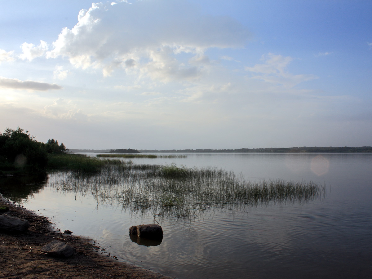 Езерище и окрестности, image of landscape/habitat.