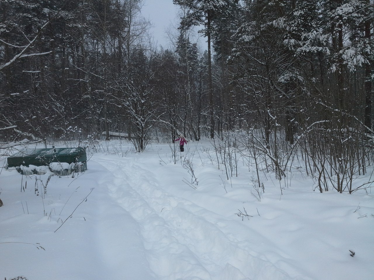 Бутовский лесопарк, image of landscape/habitat.