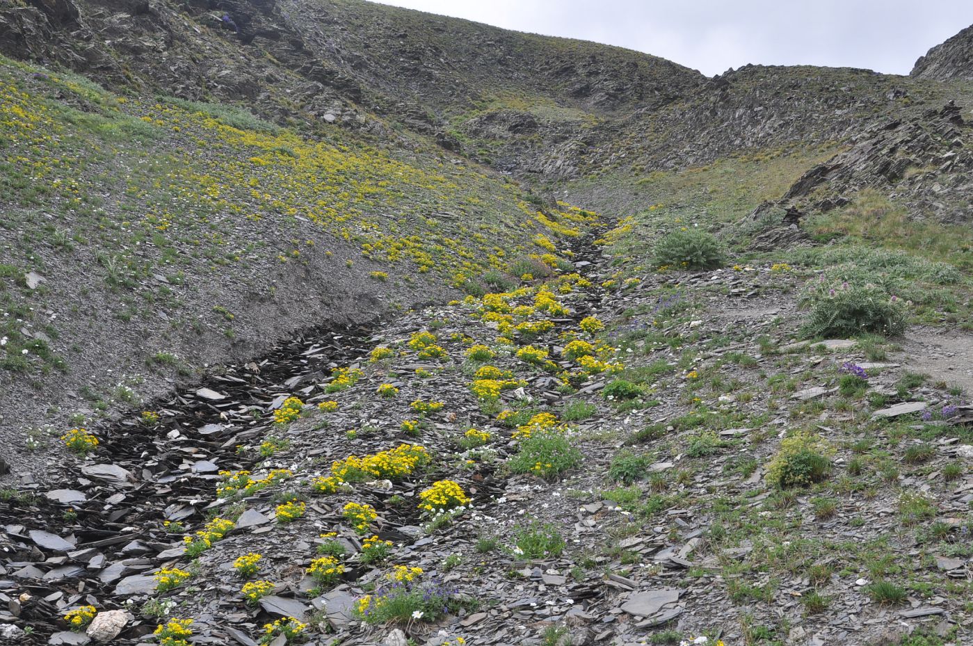 Долина ручья Чаухицхали, image of landscape/habitat.