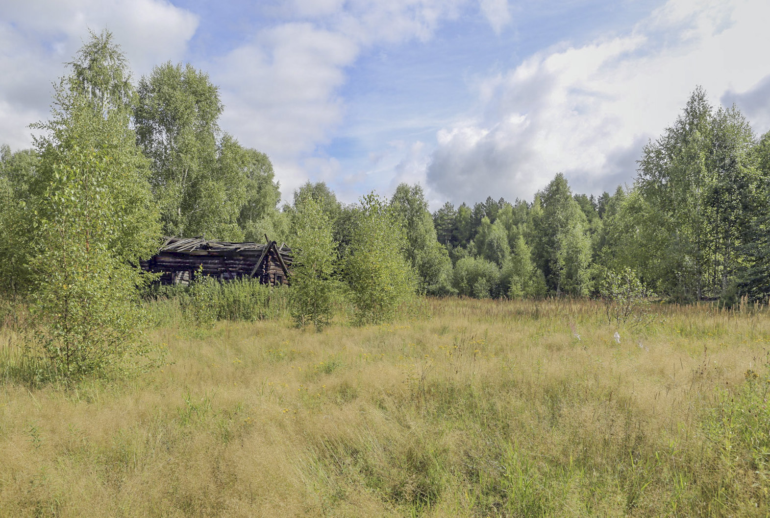 Кунчурихинский бор, image of landscape/habitat.