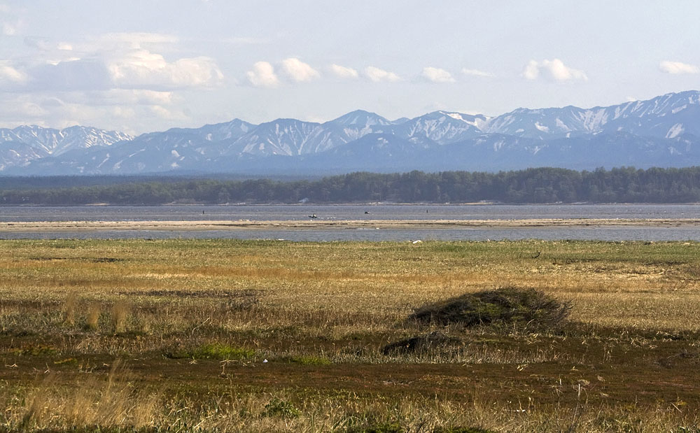 Лунский залив, image of landscape/habitat.