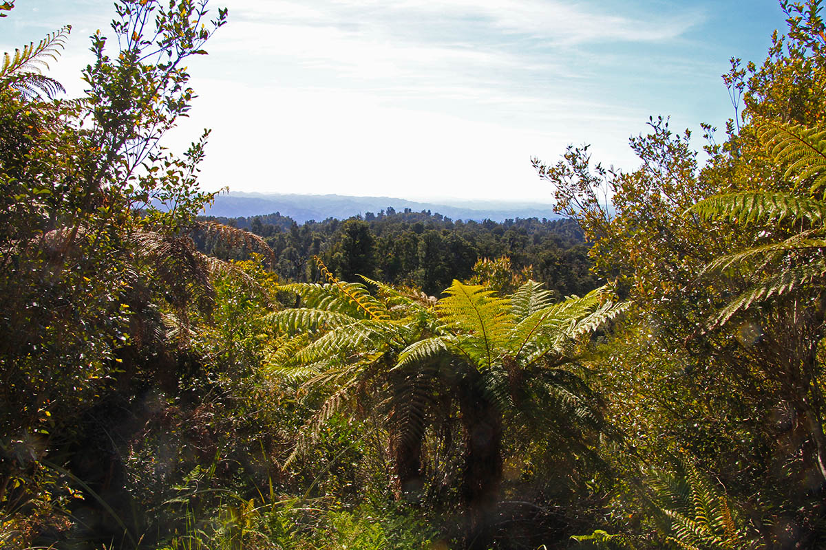 Тупакакурия, image of landscape/habitat.