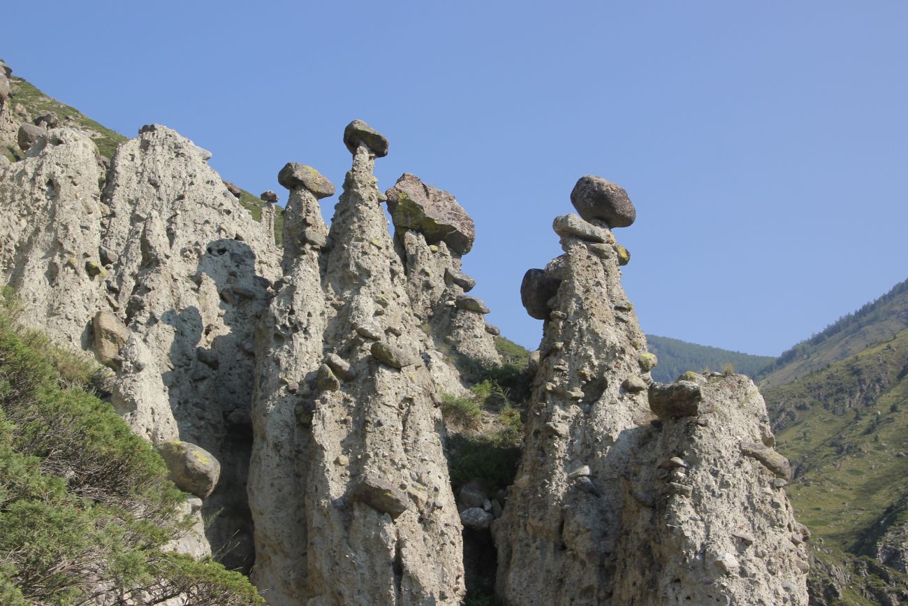 Ак-Курум и окрестности, image of landscape/habitat.