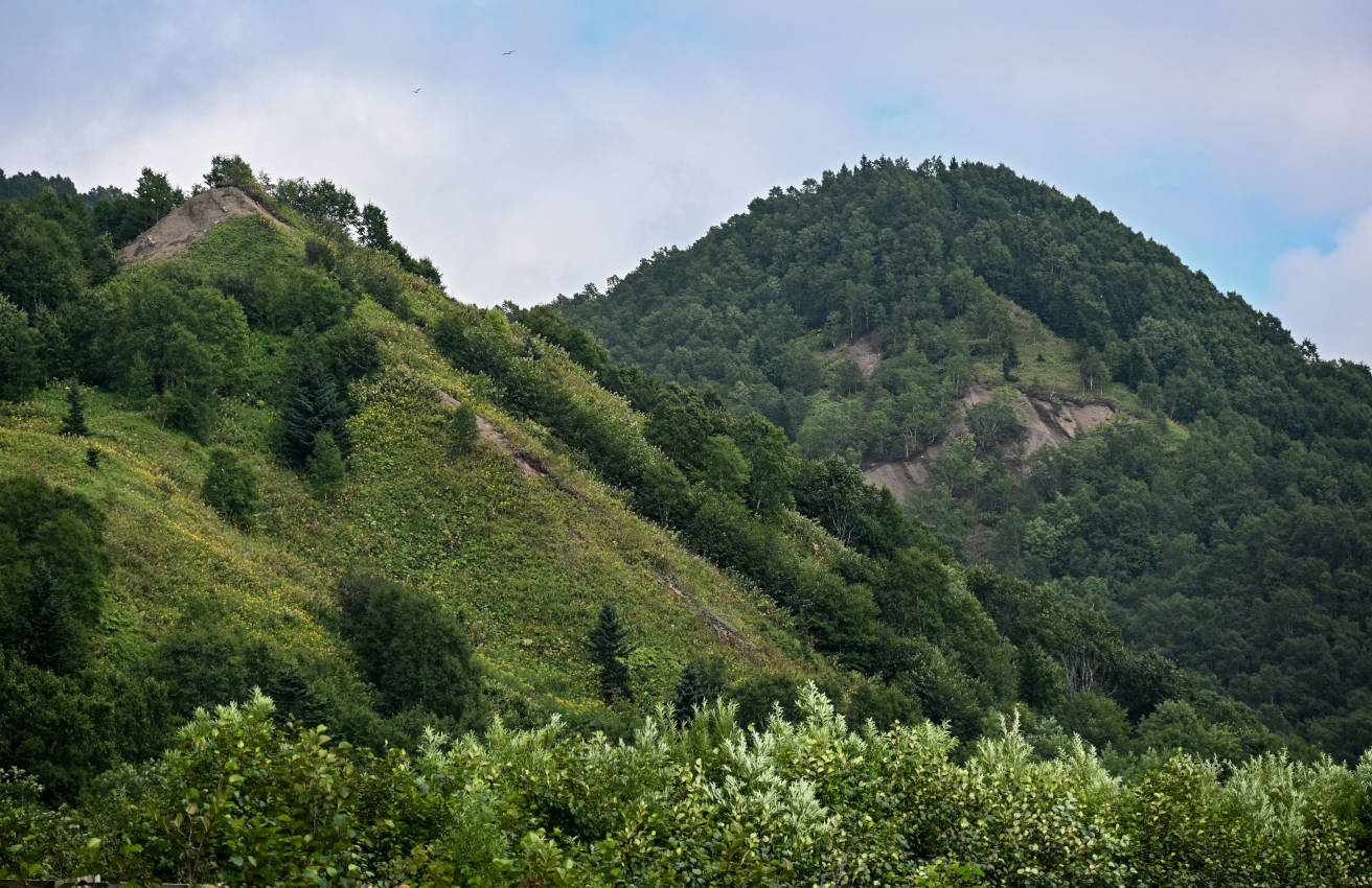 Клоковский водопад, image of landscape/habitat.