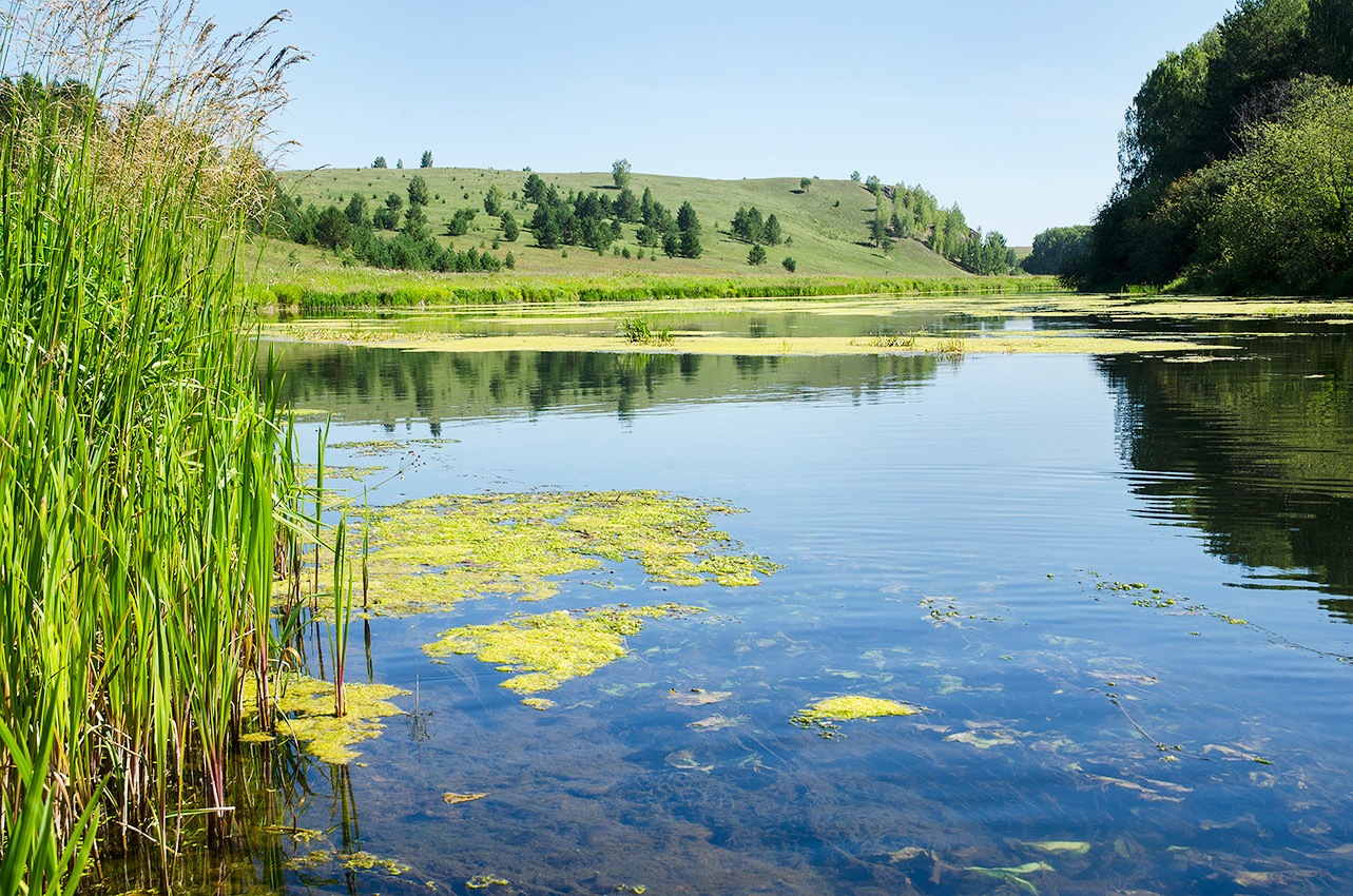 Окрестности деревни Комарово, image of landscape/habitat.