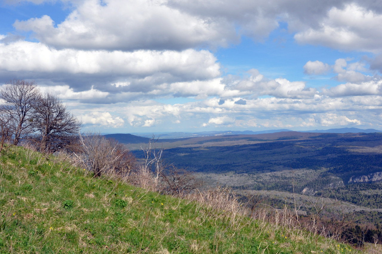 Гора Зауда, image of landscape/habitat.