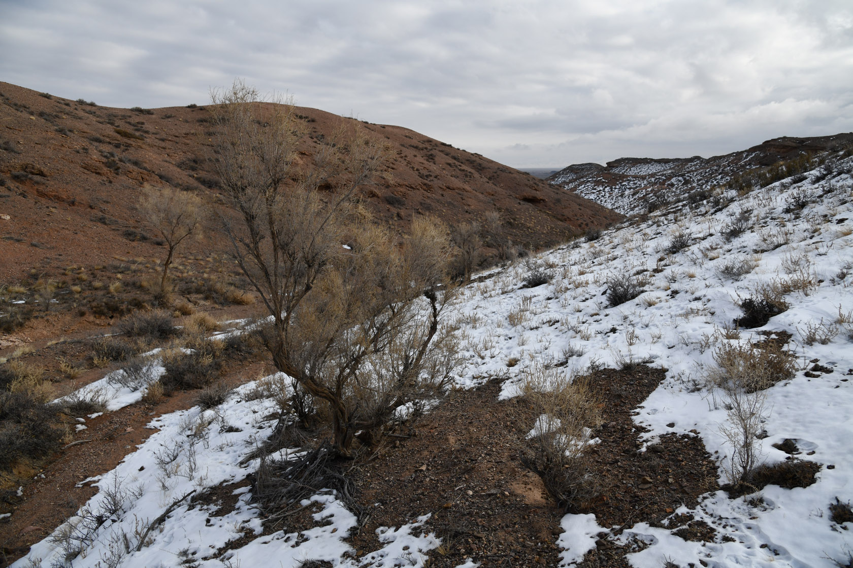 Чарын, image of landscape/habitat.