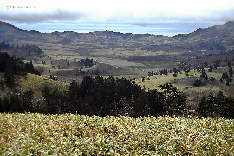 Шикотан, image of landscape/habitat.