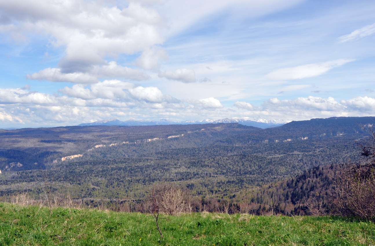 Гора Зауда, image of landscape/habitat.