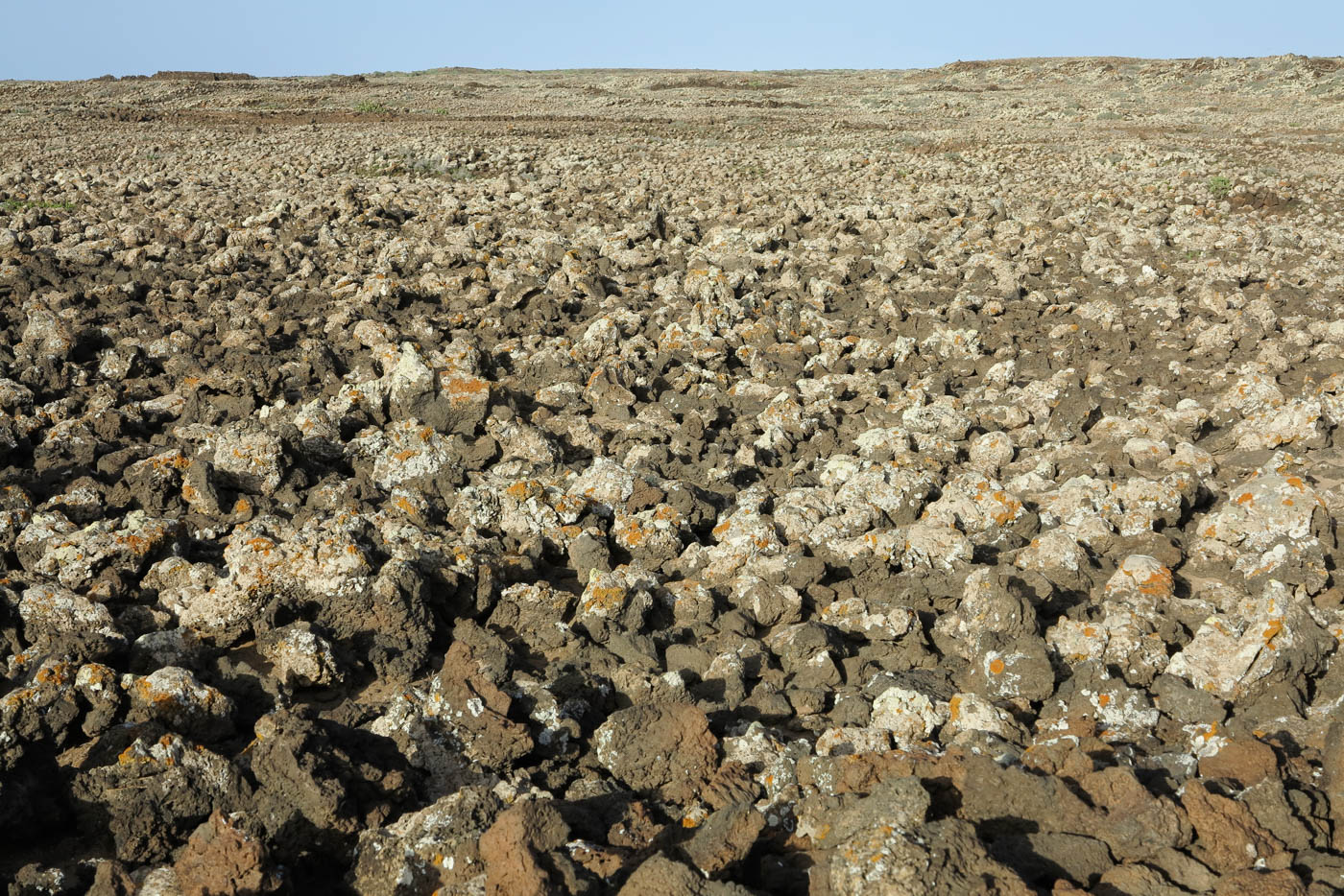 Эль Котильо и окрестности, image of landscape/habitat.