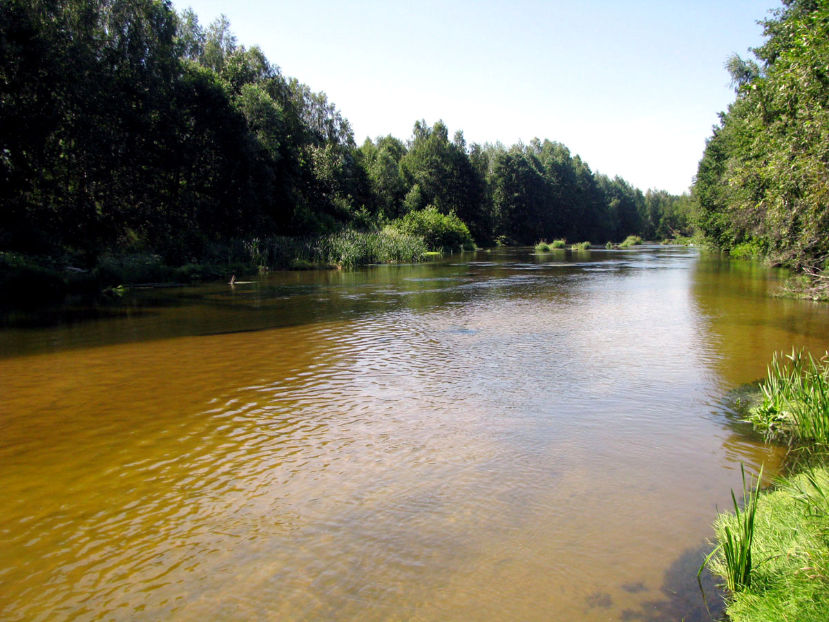 Река Узола, image of landscape/habitat.