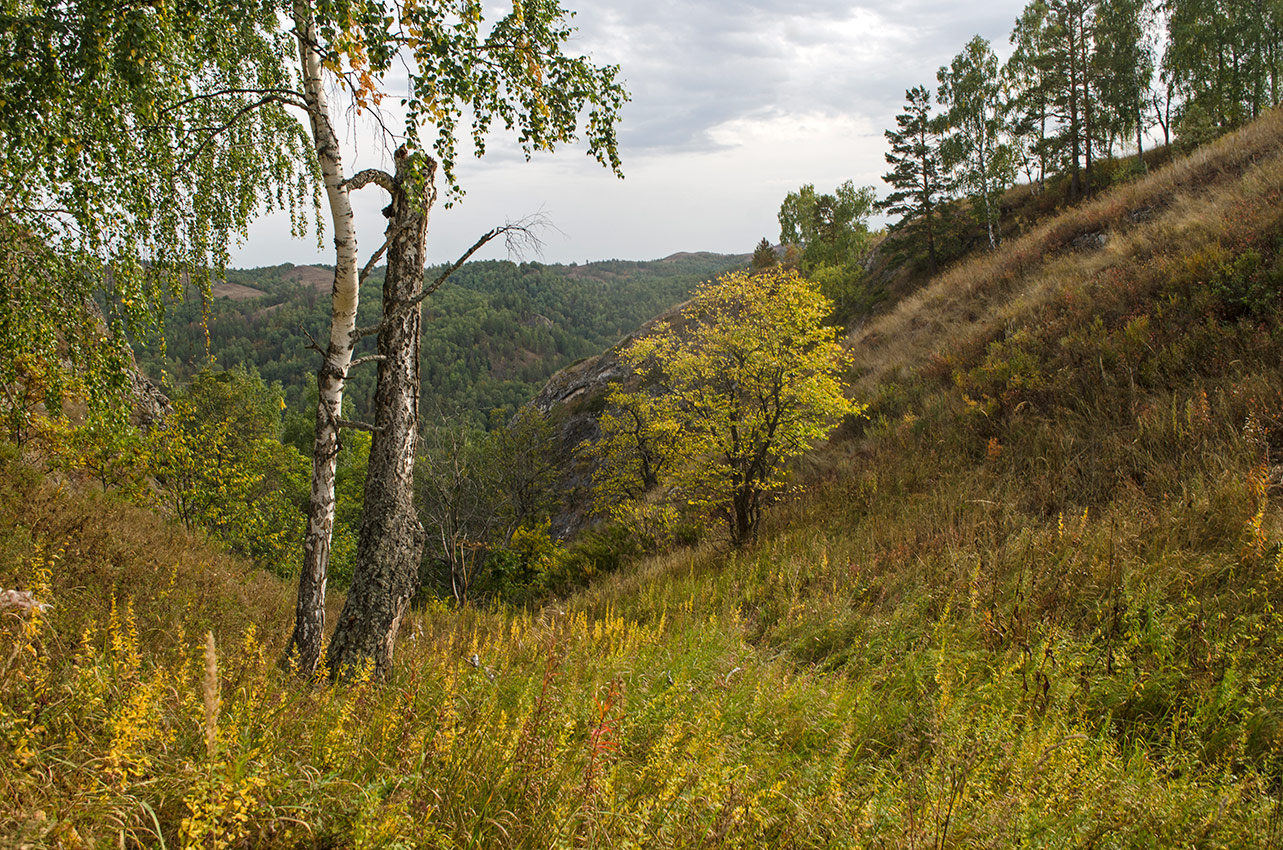 Мурадымовское ущелье, image of landscape/habitat.