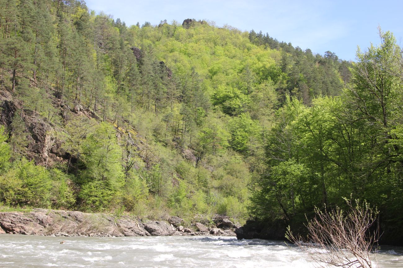 Гранитный каньон реки Белая, изображение ландшафта.