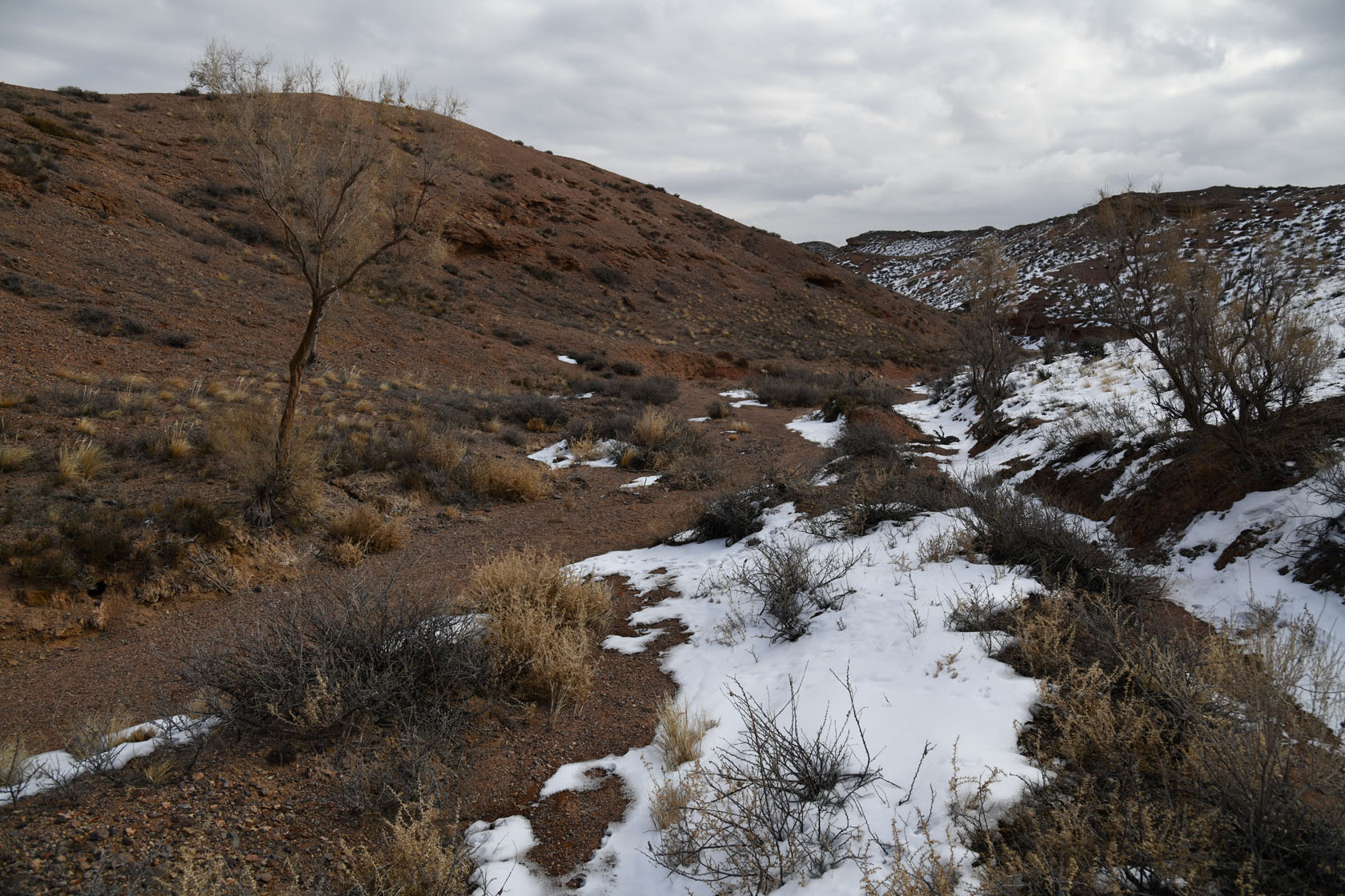 Чарын, image of landscape/habitat.