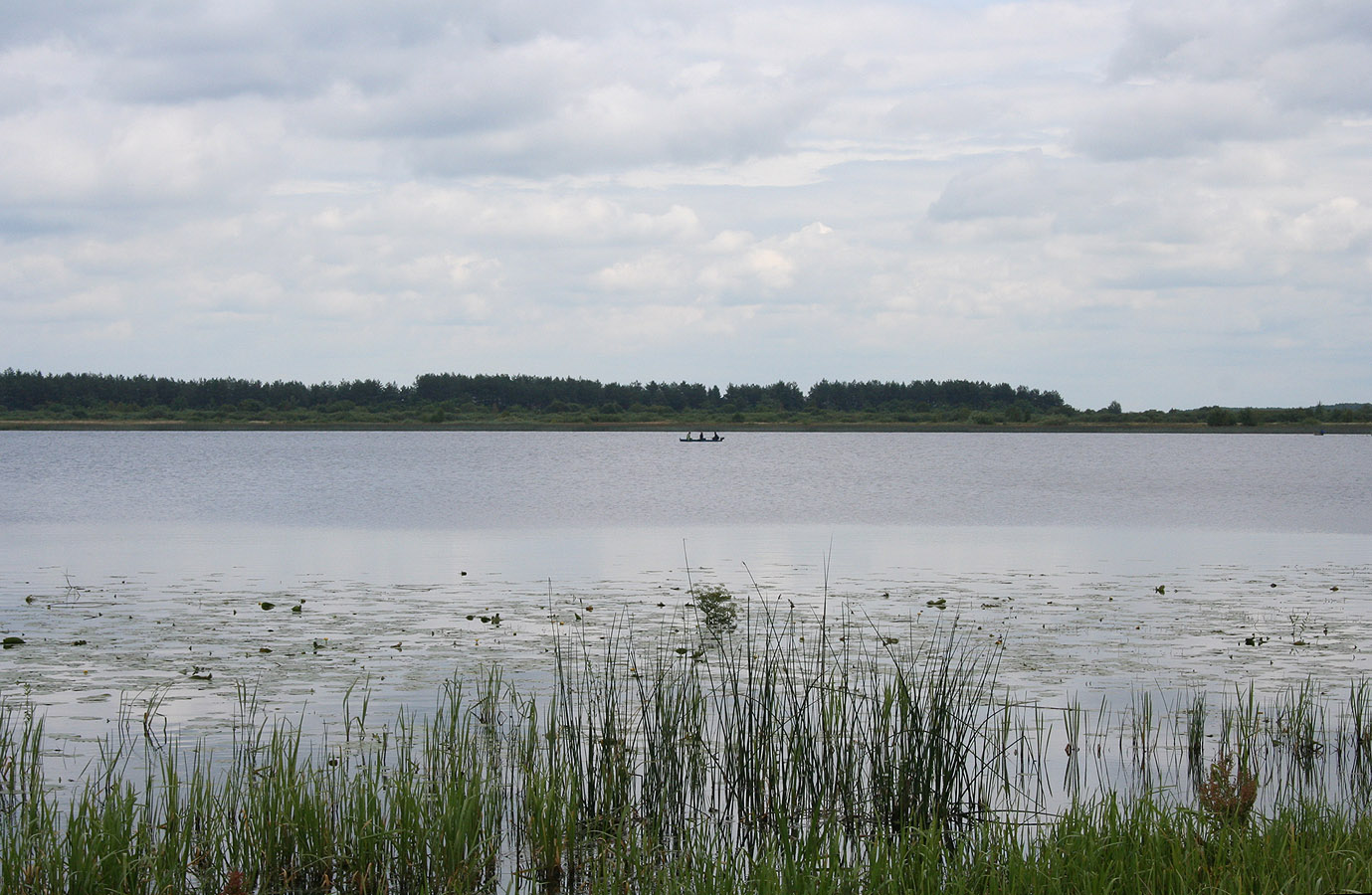 Озеро Святое, image of landscape/habitat.