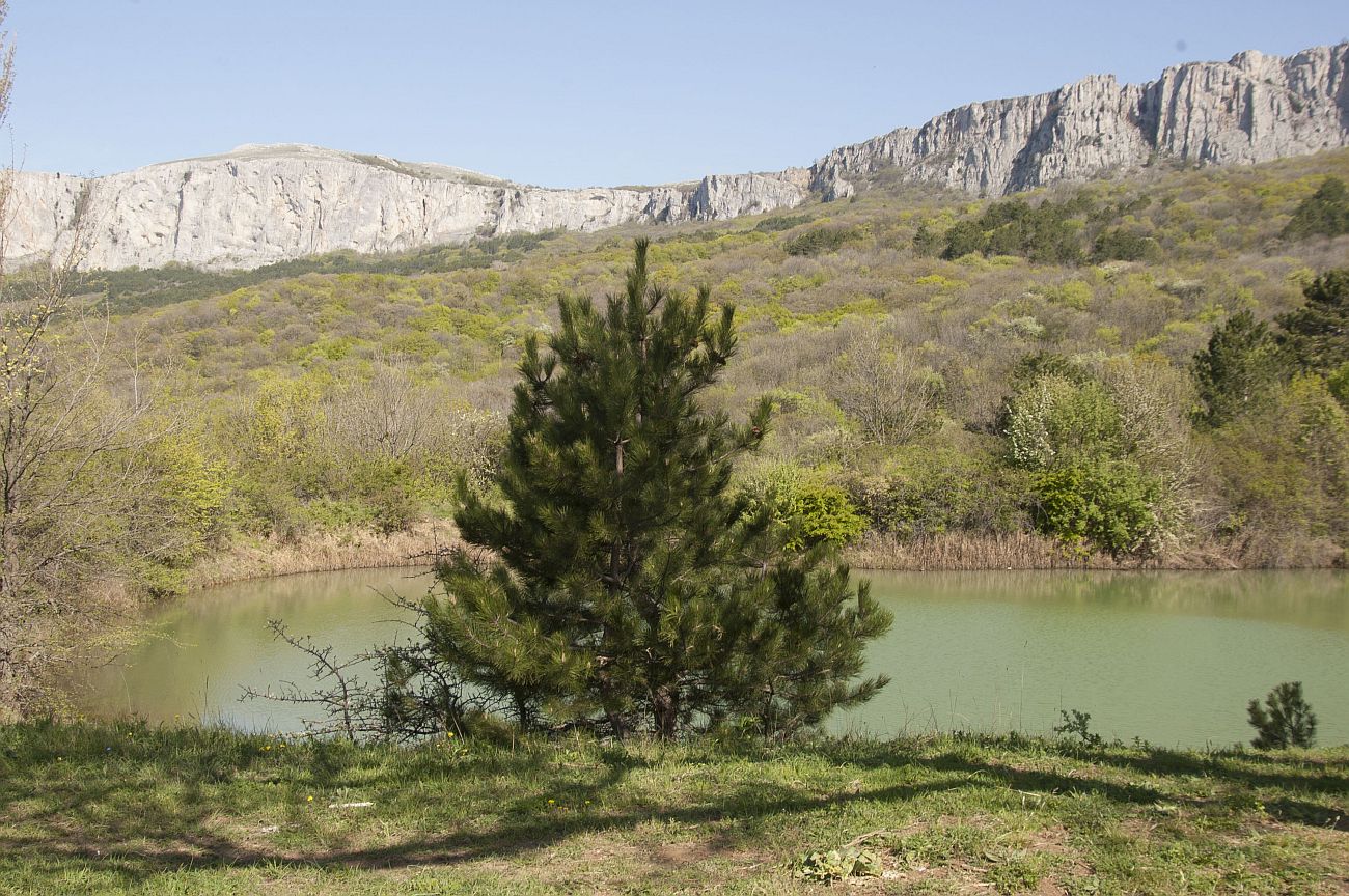 Окрестности скалы Биюк-Исар, image of landscape/habitat.