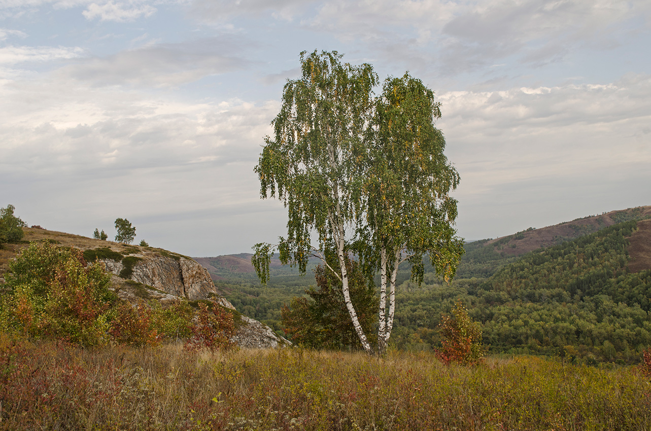 Мурадымовское ущелье, image of landscape/habitat.