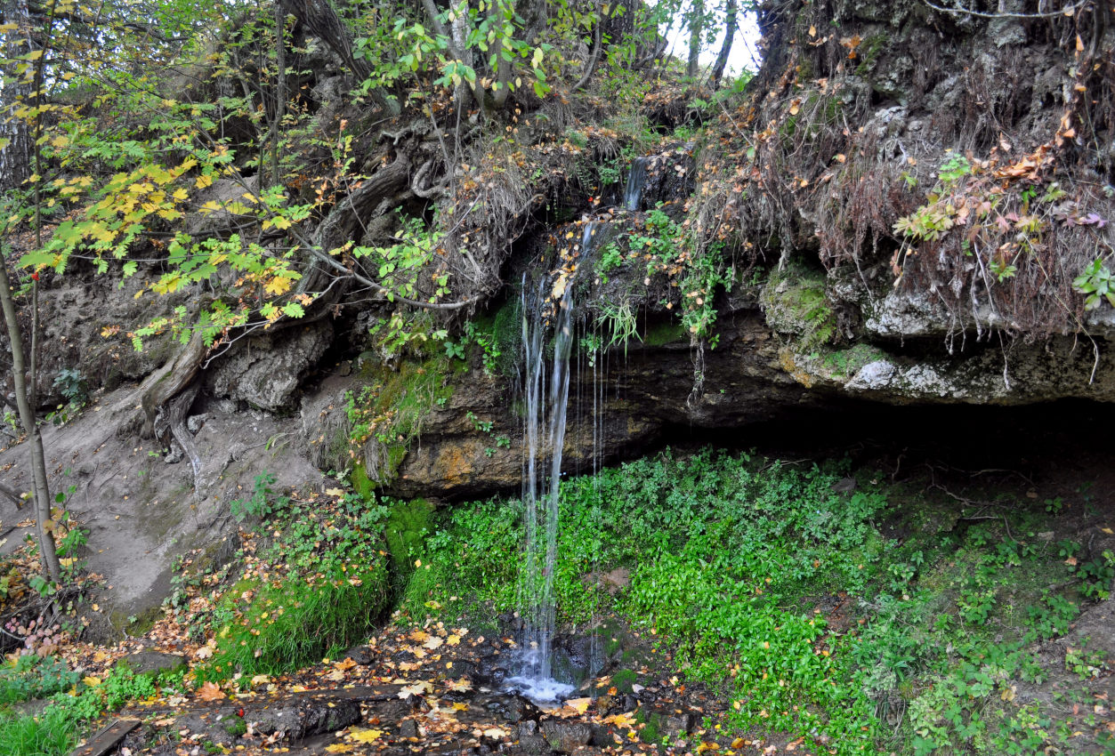 Долина реки Большая Смедова, image of landscape/habitat.