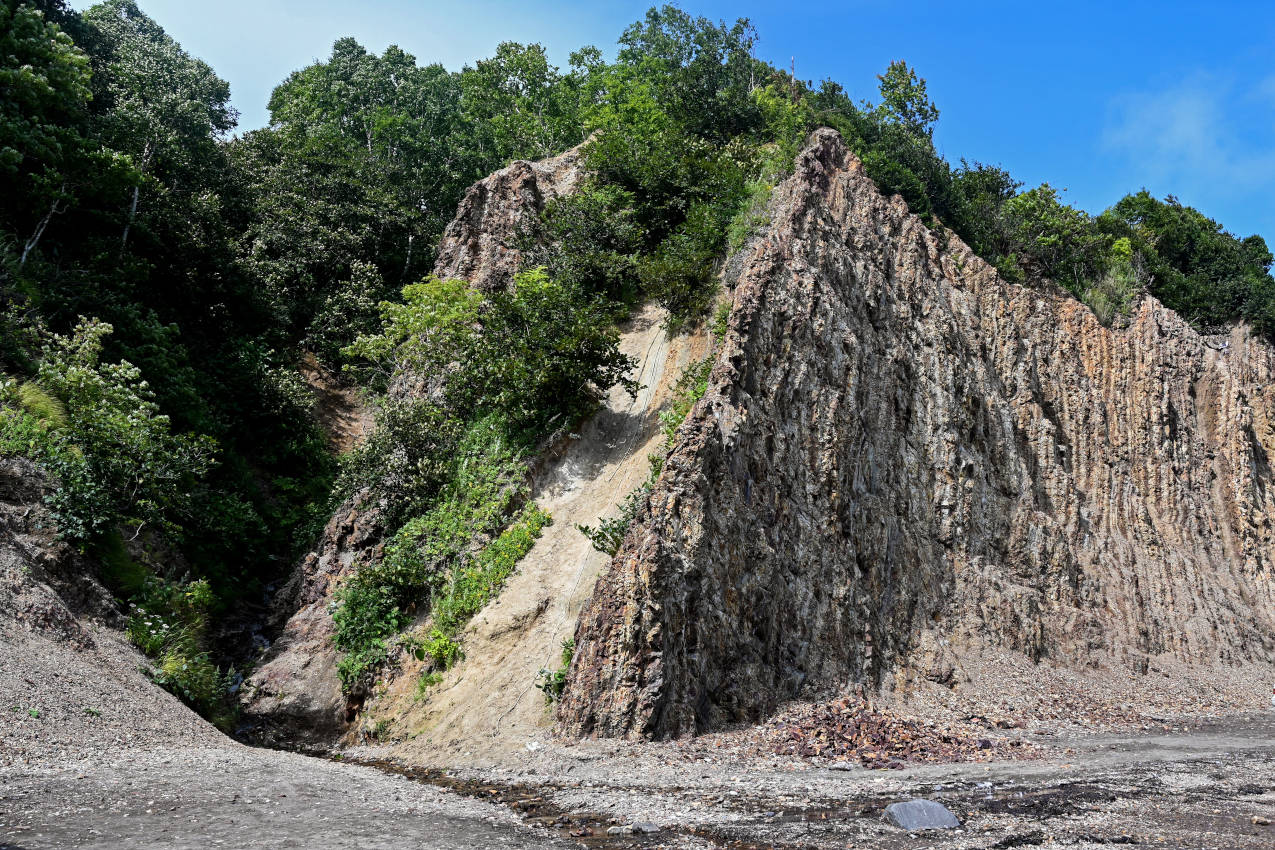 Бухта Тихая, image of landscape/habitat.