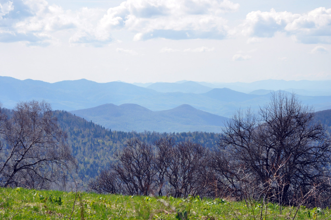 Гора Зауда, image of landscape/habitat.