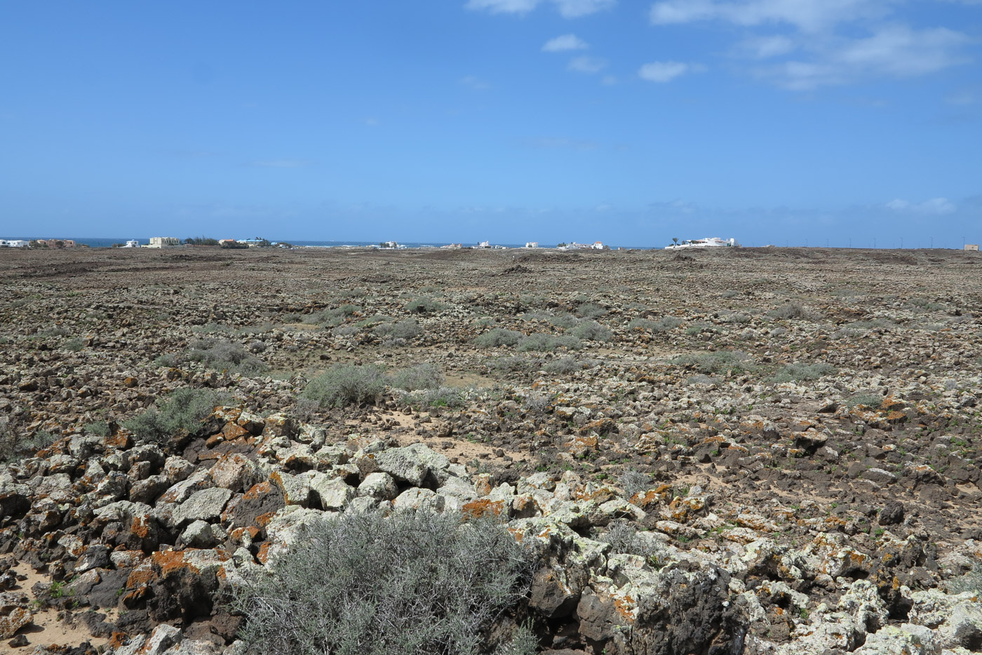 Эль Котильо и окрестности, image of landscape/habitat.