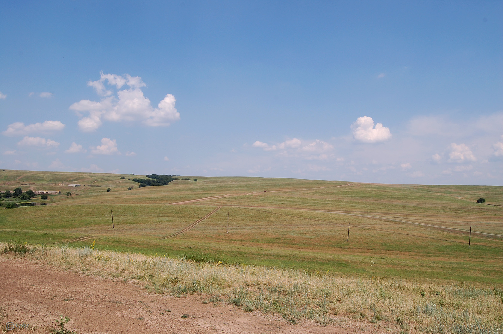 Провалье, Калиновский участок, image of landscape/habitat.