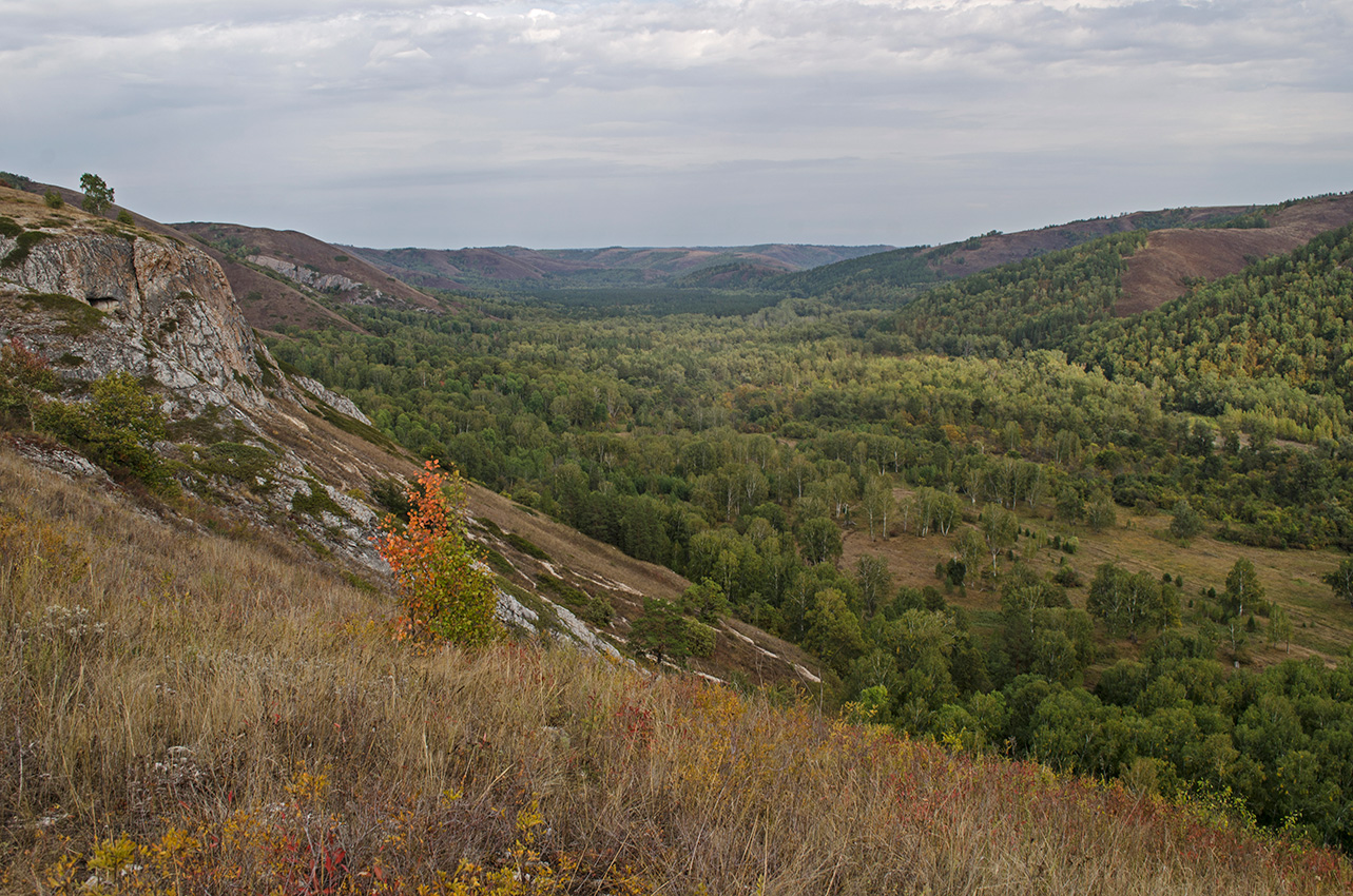 Мурадымовское ущелье, image of landscape/habitat.