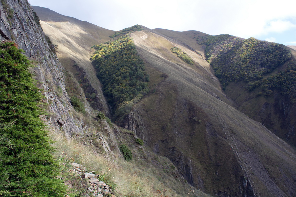 Окрестности села Ялак, image of landscape/habitat.