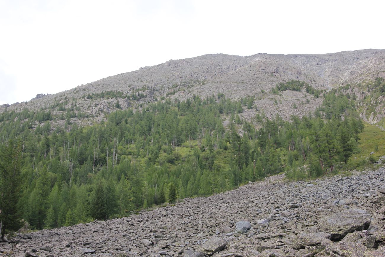 Среднее Мультинское озеро, image of landscape/habitat.