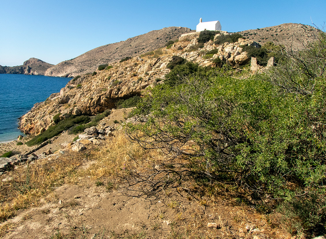 Остров Сирос, image of landscape/habitat.