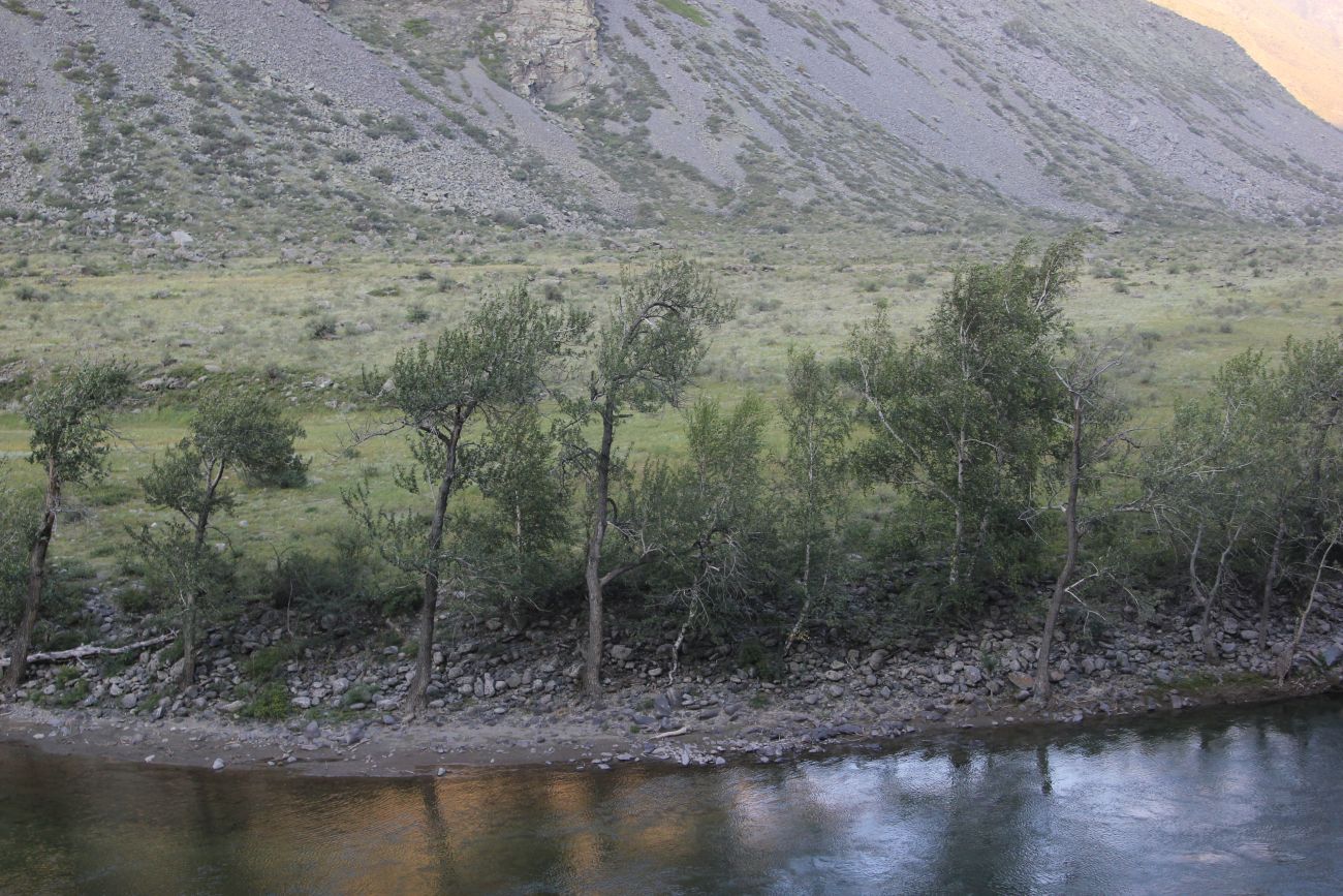 Лодочная переправа Куркуре, изображение ландшафта.