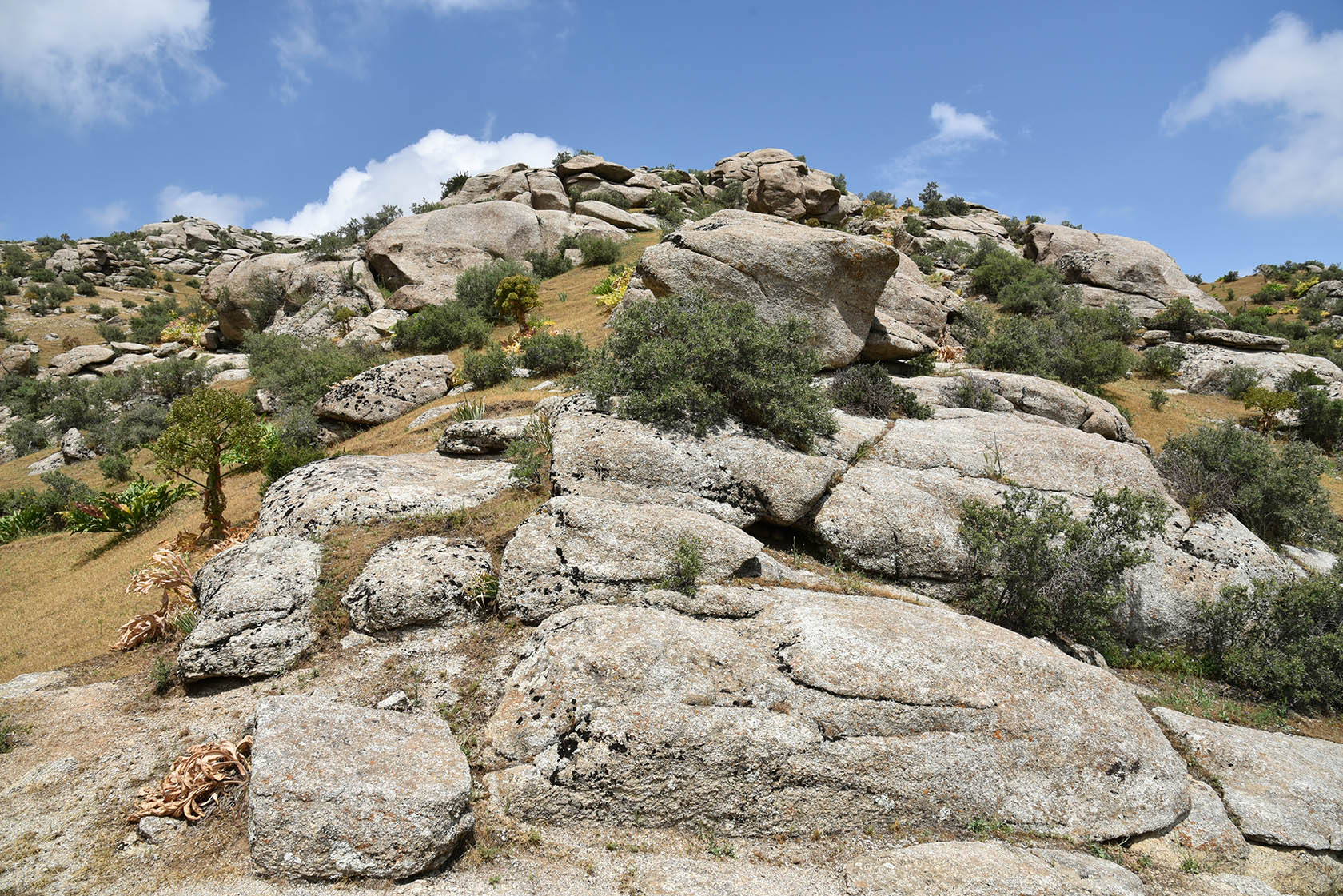 Терсак, image of landscape/habitat.