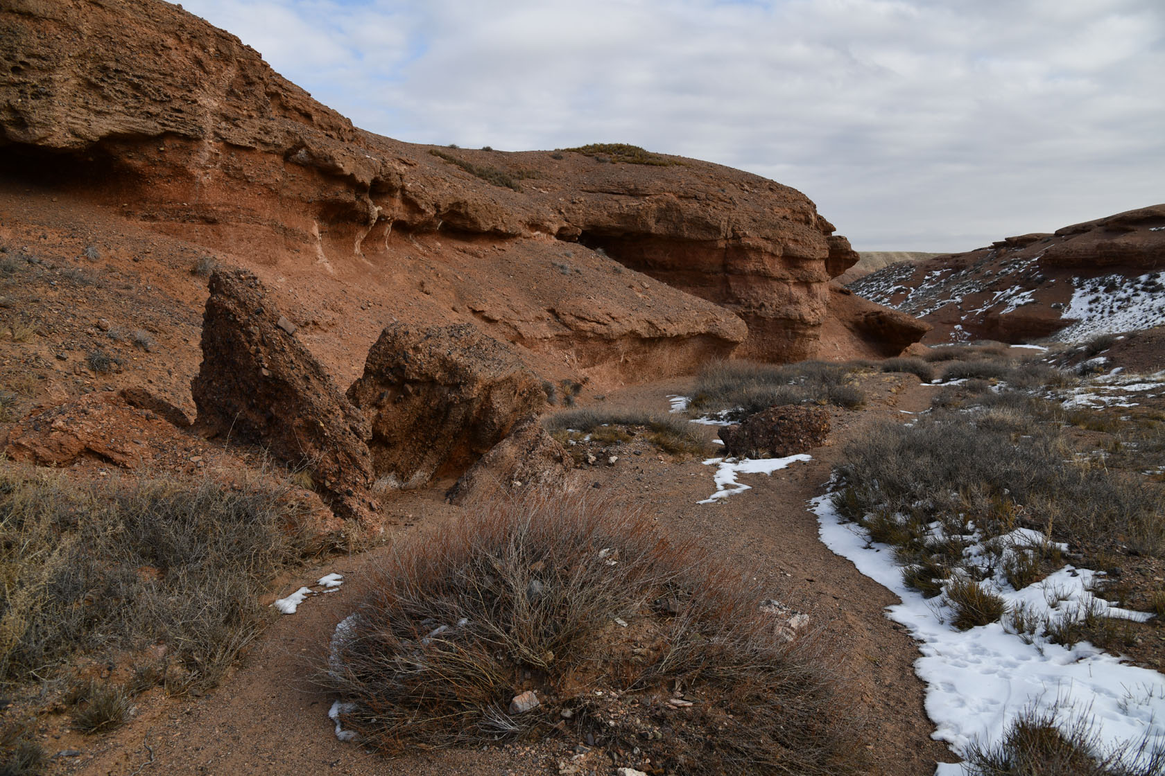 Чарын, image of landscape/habitat.