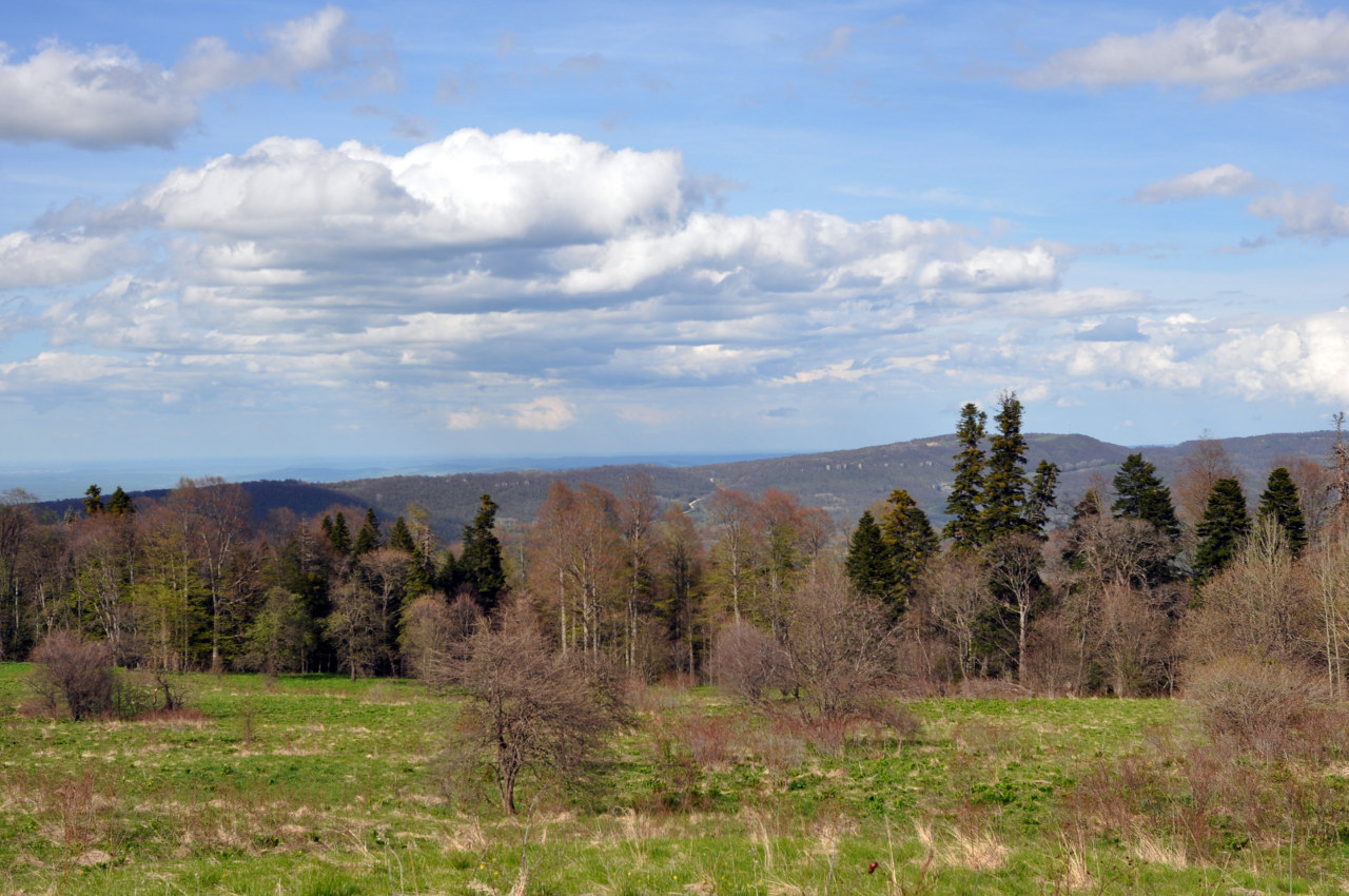 Гора Зауда, image of landscape/habitat.