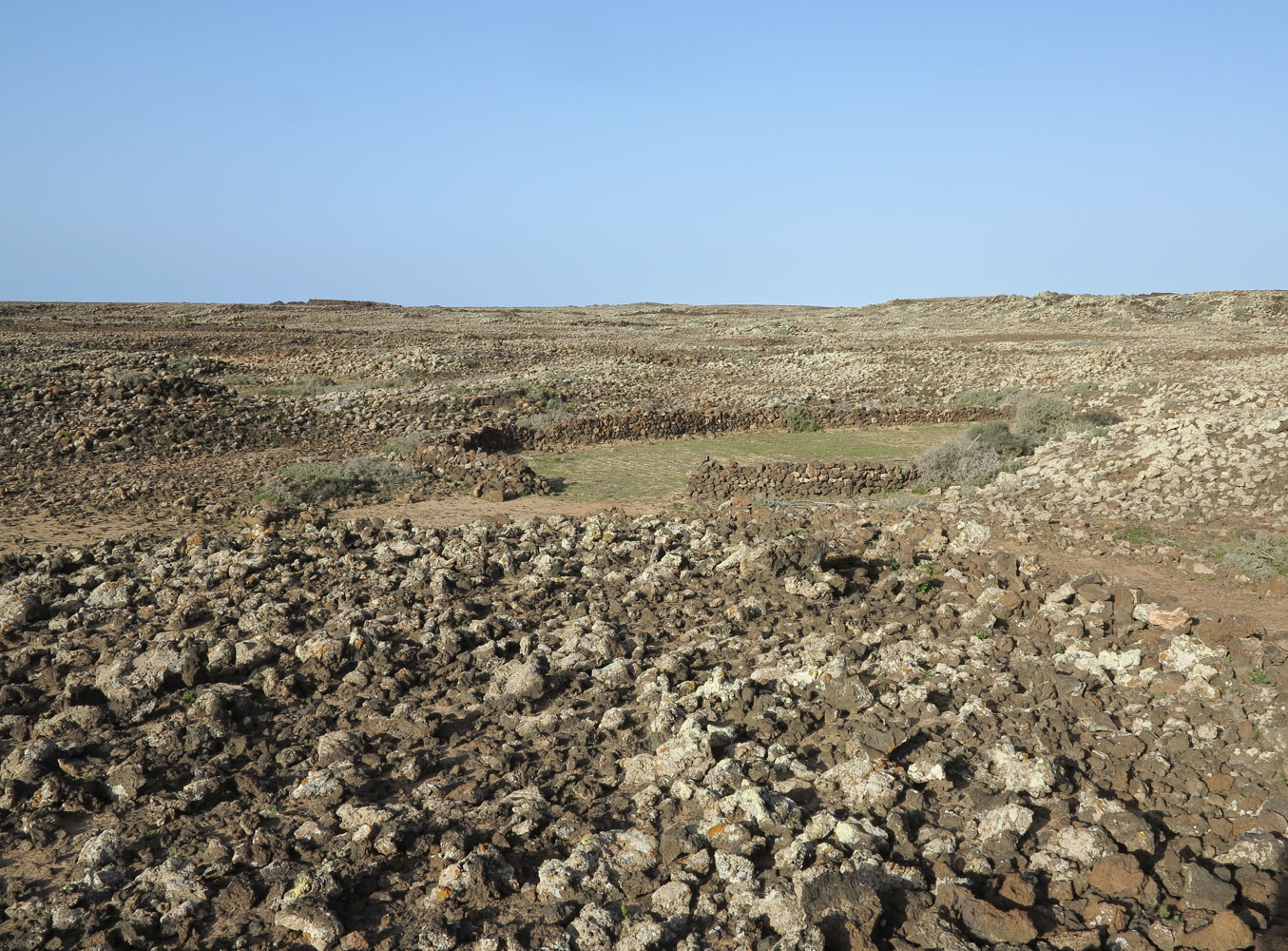 Эль Котильо и окрестности, image of landscape/habitat.