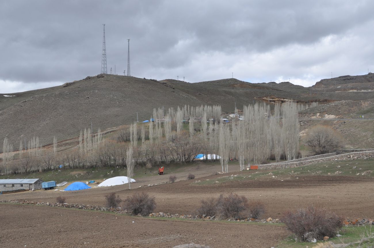 Окрестности села Пасли, image of landscape/habitat.