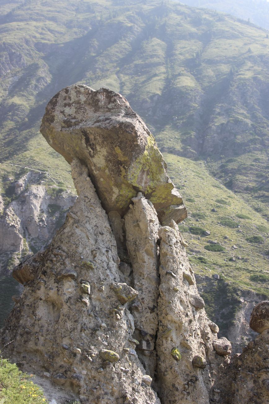 Ак-Курум и окрестности, image of landscape/habitat.