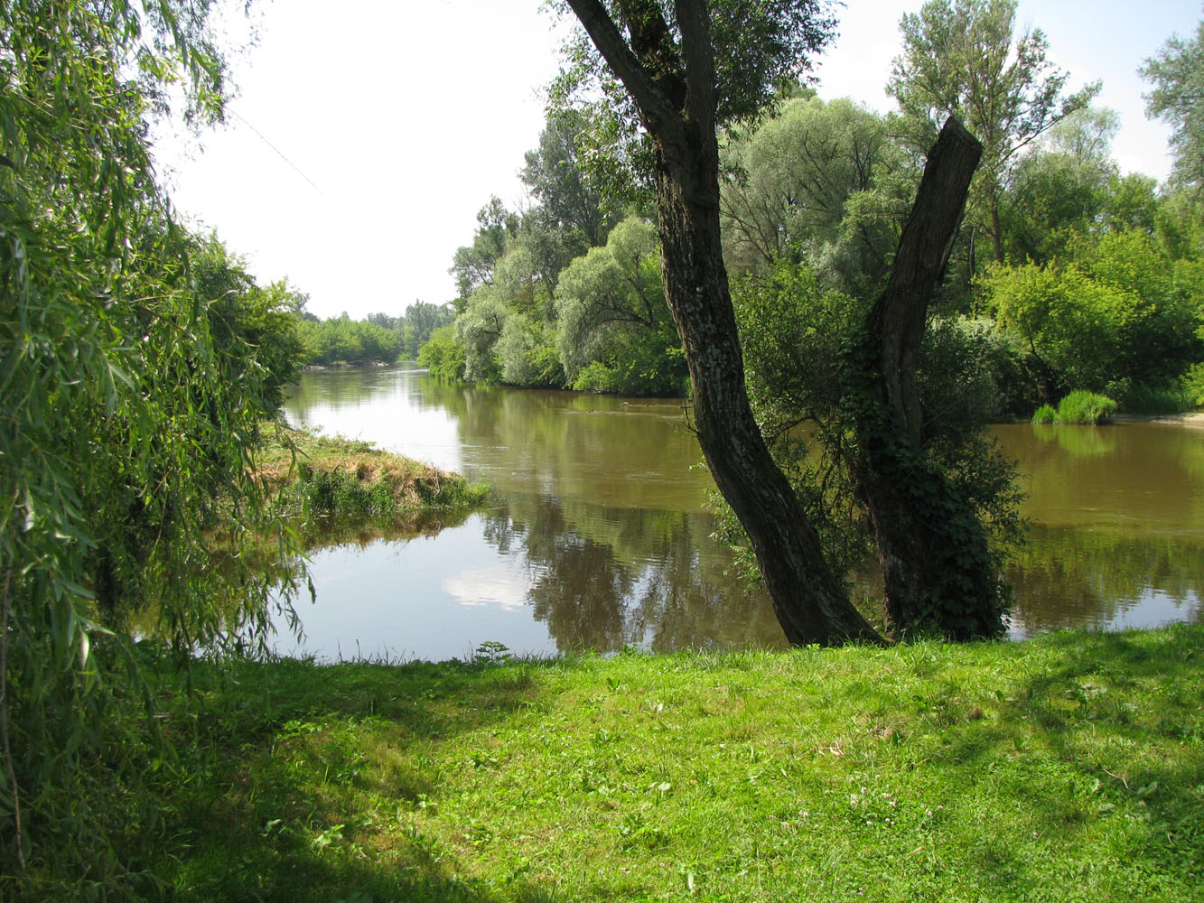 Брест, image of landscape/habitat.