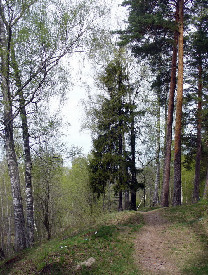 Красные Ткачи, image of landscape/habitat.