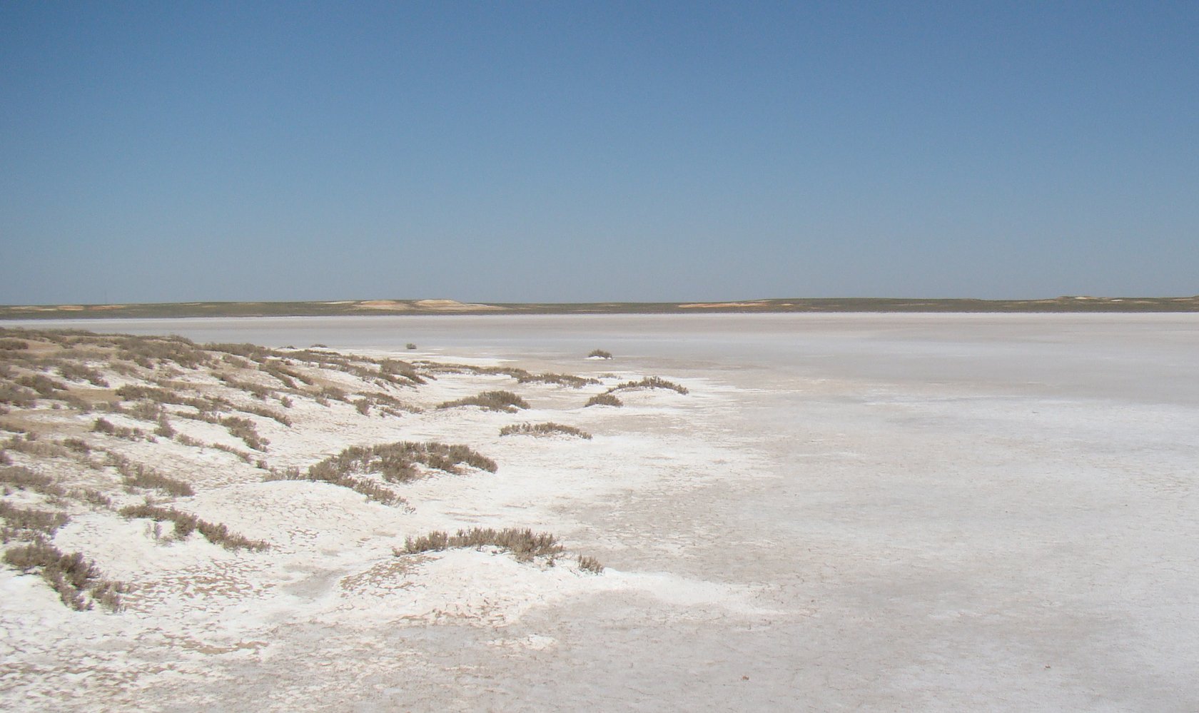 Байконур, image of landscape/habitat.