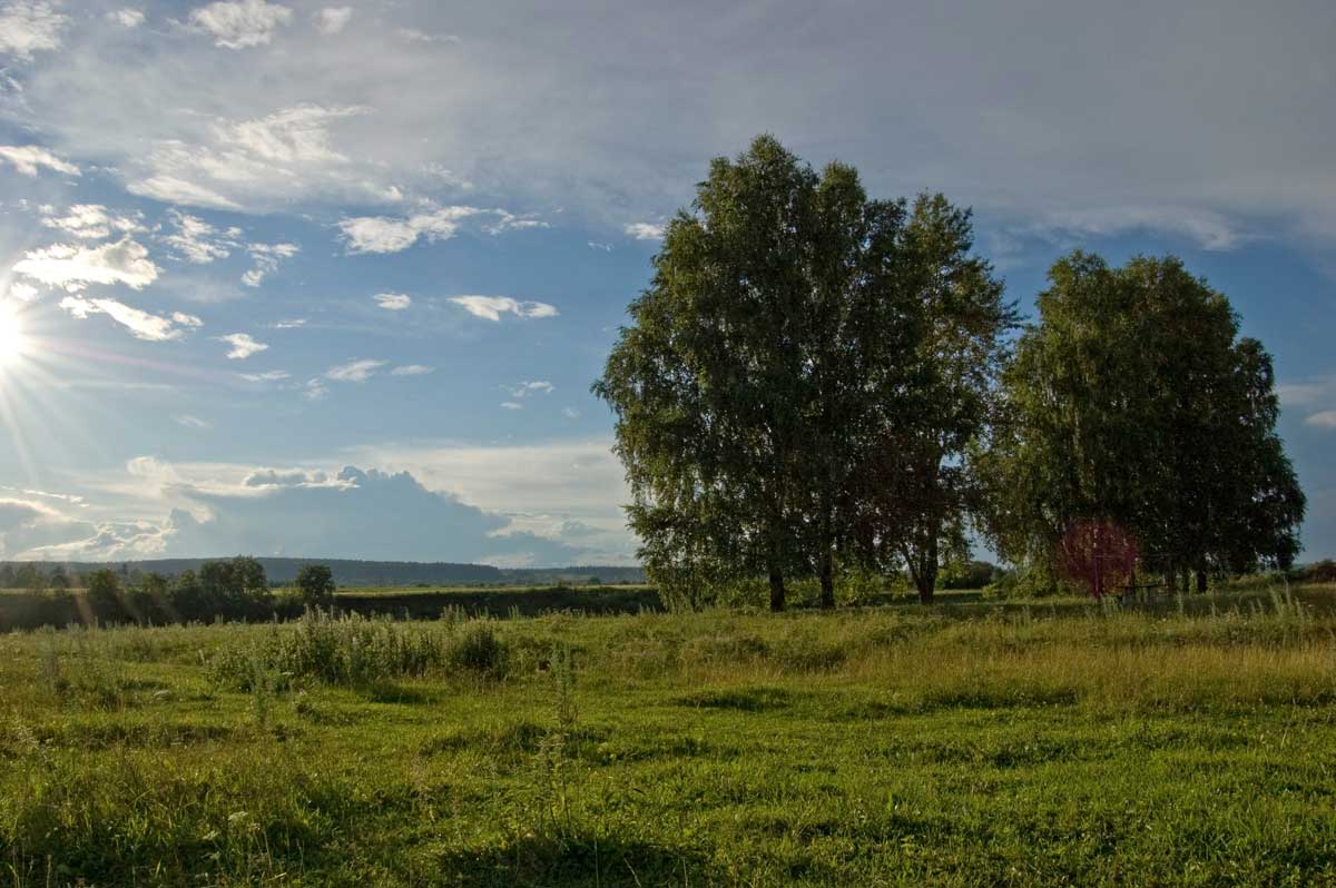 Окрестности урочища Кокуй, image of landscape/habitat.