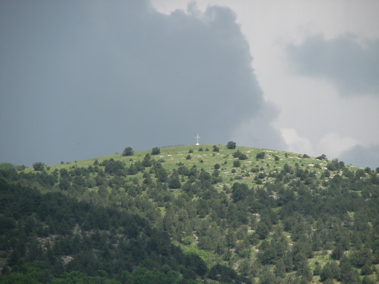 Байдарская долина, image of landscape/habitat.