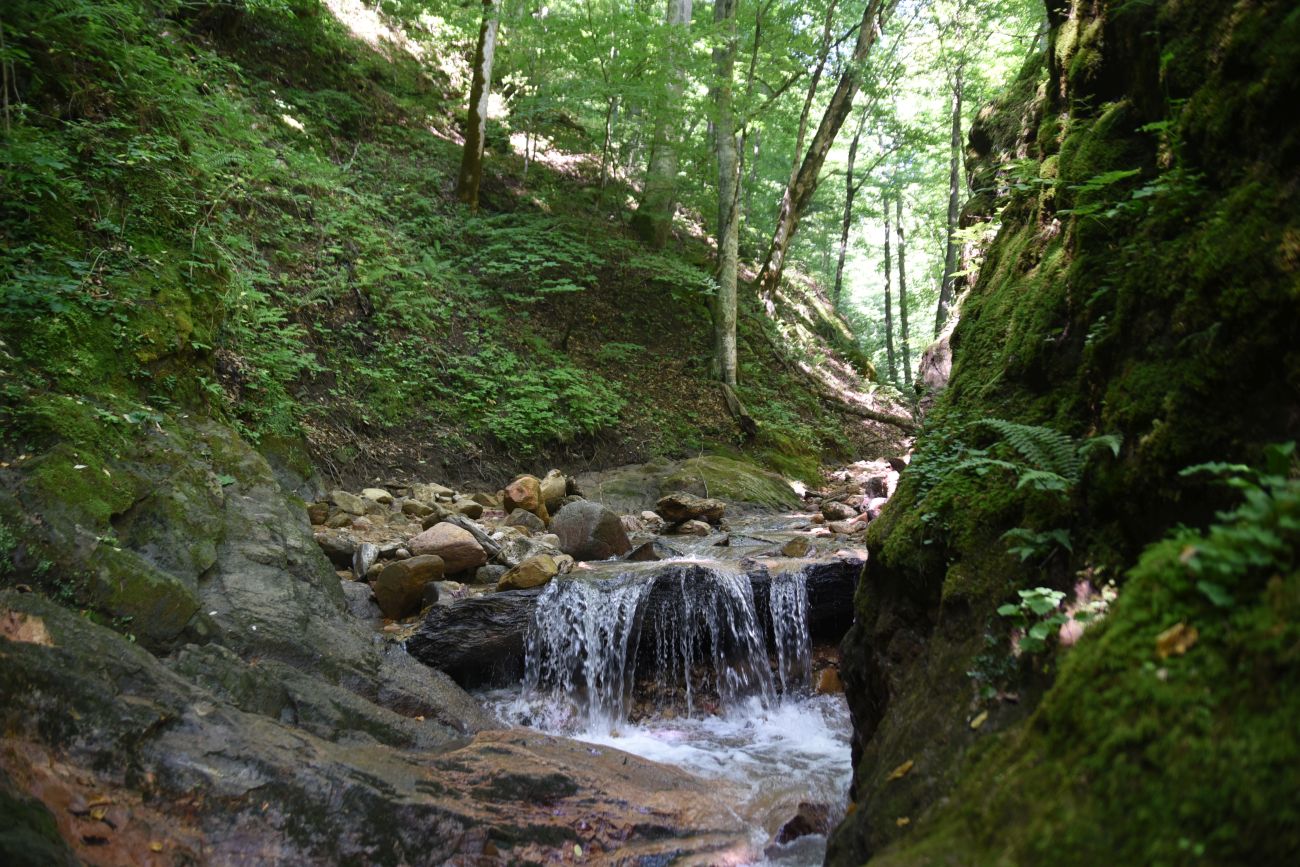 Устье ручья Сибирь и окрестности, image of landscape/habitat.