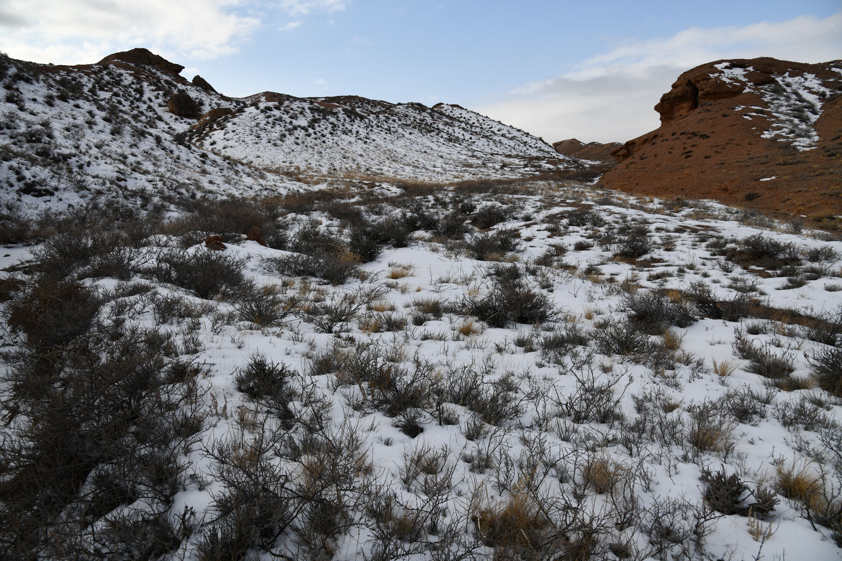 Чарын, image of landscape/habitat.